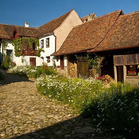 Casa Cu Zorele, Crit 189 Buitenkant foto