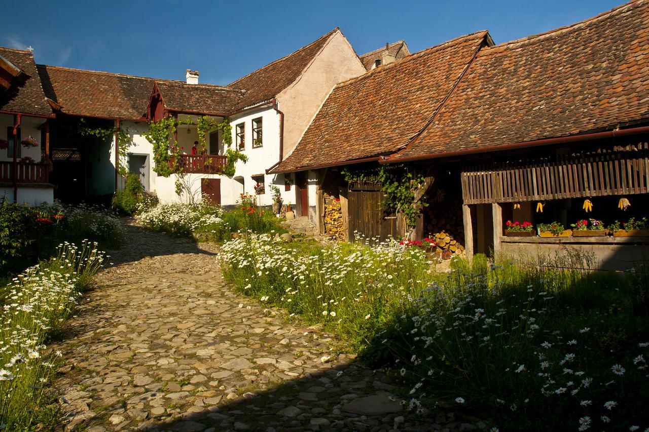Casa Cu Zorele, Crit 189 Buitenkant foto
